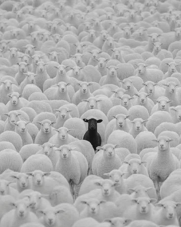 <p>Called to stand out, not blend in. <strong>Romans 12:2.</strong></p>